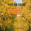 신카 - 새벽길