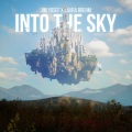 Into the Sky