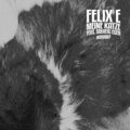 Meine Katze (Mister Sweatband Remix)