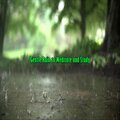 Rain Falling、Rain to Meditate - Gentle Rain to Meditate and Study, Pt. 40