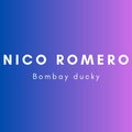 Bombay Ducky