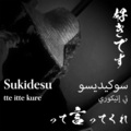 AikaRaika、結月ゆかり - Sukidesu って言ってくれ (AIの月)