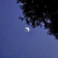 牧野 - 夏日飞翔