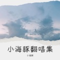 小海豚 - Maybe