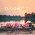 Tranquility Day Spa Music Zone - Spa Serenity Symphony