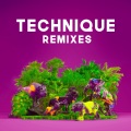 Paces、Emmalyn、Jeida Woods、Torren Foot - Technique