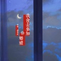 我会去参加你婚礼 (DJ版)