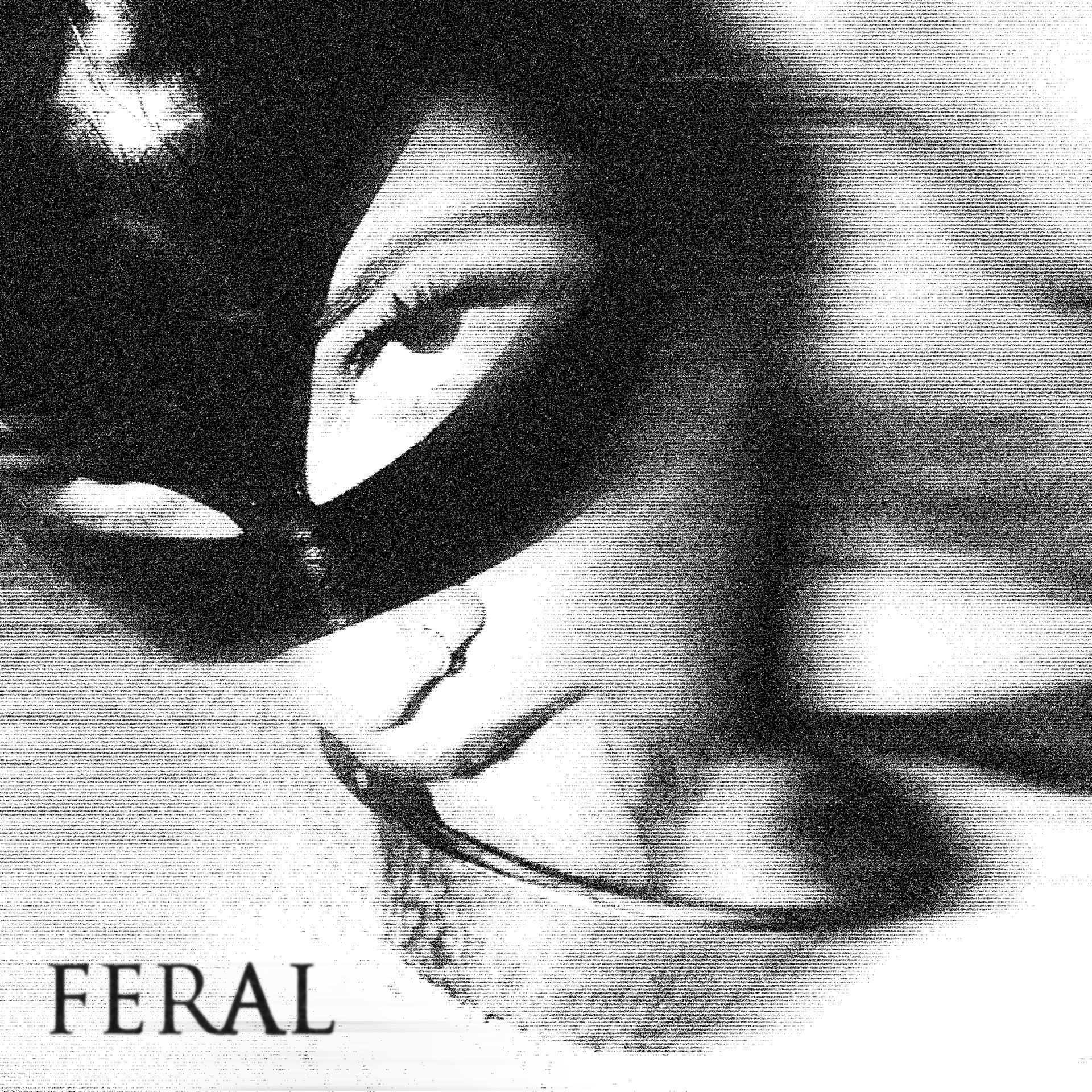 Gomey、Xuitcasecity - Feral