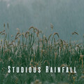Studious Rainfall: White Noise and Rain for Effective Study
