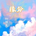 缘分 (DJ何友 remix)