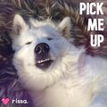 Carissa Grimm、rissa. - Pick Me Up