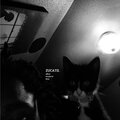 Zucatii - i didn't listen (Explicit)