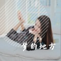 康延辉 - 虫儿飞 (钢琴轻音乐)