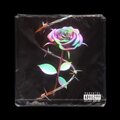 0161 Yung Crimes - Dup Fourten