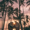 Vinz - You , Me and the Coconut Tree