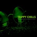 Trippy Chills - 2020 Handpicked Electronica Music