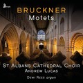 Andrew Lucas、St Albans Cathedral Choirs - Tantum ergo in A flat major, WAB 41/4
