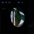 船帆 - 达尔文