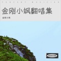 金刚小飒 - 流浪·地球