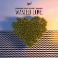 Wasted Love