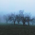 Palinopsia - out of weather