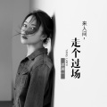 洋澜一 - 来人间走个过场
