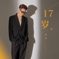 17岁