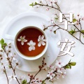 早上的乐曲、保持乐观的大师 - 森林的河流