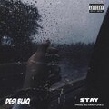 Desi Blaq - Stay (Explicit)