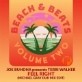 Joe Buhdha、terri walker、Michael Gray - Feel Right
