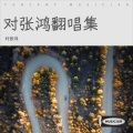 对张鸿 - 夜机