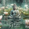 Nature Sounds To Meditate (Sleep, Yoga & Relaxation (Stream, Water, Distant Ocean, Forest))