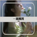 梵檬 - 一百七十二笔