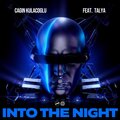 Cagin Kulacoglu、Talya、Talya Zilcioğlu、Albin Hasani、Mustafa Guney - Into the Night