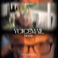 ZEDNED、STALEWHALE - Voicemail (Remix)