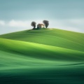 Nature Sounds for Relaxation and Sleep、Relajante Academia de Música Zen、Sleep Music Binaural Beats White Noise - Cat Meowing, Rain, Jays and Thunder