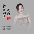 你给的爱把我伤
