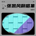 张凯风 - 美好的世界