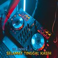 DJ Andies - DJ Selamat Tinggal Kasih