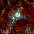Afinity、Nevve - Endless (Best of Me)