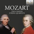 Franz Schubert Quartet Of Vienna - I. Allegro vivace assai