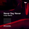 Armin van Buuren、Jacqueline Govaert、Colyn - Never Say Never (Colyn Remix)