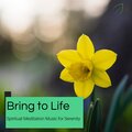 Bring To Life - Spiritual Meditation Music For Serenity