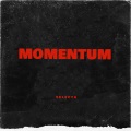 Momentum