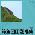 鲸鱼团团 - 花轿里的人