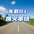可卿 - 能否陪我过个冬