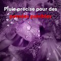 Pluie précise pour des pensées paisibles