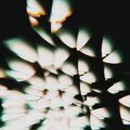 AISLE 13 (Explicit)