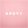 偷偷藏不住