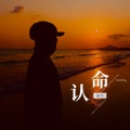 认命